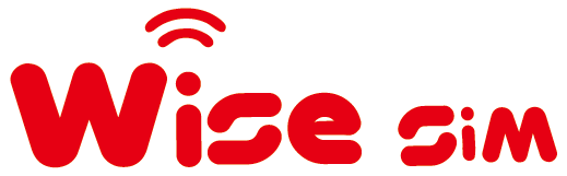 WISE-SIM Logo